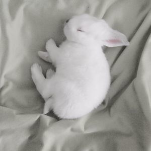 Meet your Posher, Nicholas